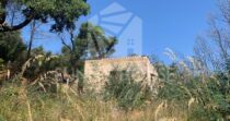 Agricultural Land with Storage Building for Sale, 6 km from Cefalù