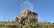 Land with Ruins and Olive Grove – Ideal for Agritourism Land with Ruins and Olive Grove – Ideal for Agritourism