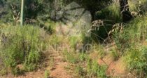Agricultural Land with Storage Building for Sale, 6 km from Cefalù