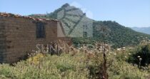 Land with Ruins and Olive Grove – Ideal for Agritourism Land with Ruins and Olive Grove – Ideal for Agritourism