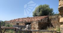 Land with Ruins and Olive Grove – Ideal for Agritourism Land with Ruins and Olive Grove – Ideal for Agritourism