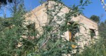Agricultural Land with Storage Building for Sale, 6 km from Cefalù