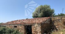 Land with Ruins and Olive Grove – Ideal for Agritourism Land with Ruins and Olive Grove – Ideal for Agritourism
