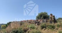 Land with Ruins and Olive Grove – Ideal for Agritourism Land with Ruins and Olive Grove – Ideal for Agritourism