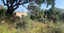 Agricultural Land with Storage Building for Sale, 6 km from Cefalù