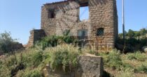 Land with Ruins and Olive Grove – Ideal for Agritourism Land with Ruins and Olive Grove – Ideal for Agritourism