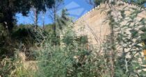 Agricultural Land with Storage Building for Sale, 6 km from Cefalù