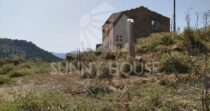 Land with Ruins and Olive Grove – Ideal for Agritourism Land with Ruins and Olive Grove – Ideal for Agritourism