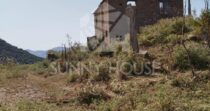 Land with Ruins and Olive Grove – Ideal for Agritourism Land with Ruins and Olive Grove – Ideal for Agritourism