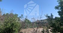 Agricultural Land with Storage Building for Sale, 6 km from Cefalù