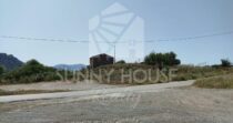 Land with Ruins and Olive Grove – Ideal for Agritourism Land with Ruins and Olive Grove – Ideal for Agritourism