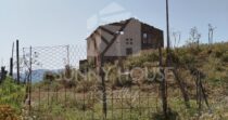 Land with Ruins and Olive Grove – Ideal for Agritourism Land with Ruins and Olive Grove – Ideal for Agritourism