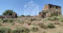 Land with Ruins and Olive Grove – Ideal for Agritourism Land with Ruins and Olive Grove – Ideal for Agritourism