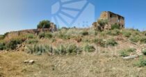 Land with Ruins and Olive Grove – Ideal for Agritourism Land with Ruins and Olive Grove – Ideal for Agritourism