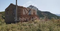 Land with Ruins and Olive Grove – Ideal for Agritourism Land with Ruins and Olive Grove – Ideal for Agritourism