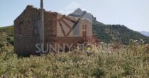 Land with Ruins and Olive Grove – Ideal for Agritourism Land with Ruins and Olive Grove – Ideal for Agritourism