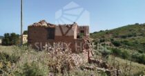 Land with Ruins and Olive Grove – Ideal for Agritourism Land with Ruins and Olive Grove – Ideal for Agritourism