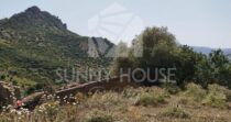 Land with Ruins and Olive Grove – Ideal for Agritourism Land with Ruins and Olive Grove – Ideal for Agritourism
