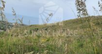 Panoramic Land for Sale in Cefalù – Contrada Gazzana