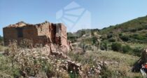 Land with Ruins and Olive Grove – Ideal for Agritourism Land with Ruins and Olive Grove – Ideal for Agritourism