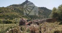 Land with Ruins and Olive Grove – Ideal for Agritourism Land with Ruins and Olive Grove – Ideal for Agritourism