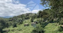 Land with Ruins and Olive Grove – Ideal for Agritourism Land with Ruins and Olive Grove – Ideal for Agritourism