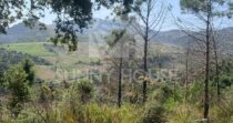 Agricultural Land with Storage Building for Sale, 6 km from Cefalù