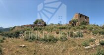 Land with Ruins and Olive Grove – Ideal for Agritourism Land with Ruins and Olive Grove – Ideal for Agritourism