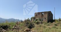 Land with Ruins and Olive Grove – Ideal for Agritourism Land with Ruins and Olive Grove – Ideal for Agritourism