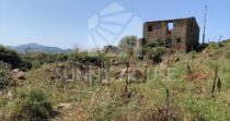Land with Ruins and Olive Grove – Ideal for Agritourism Land with Ruins and Olive Grove – Ideal for Agritourism