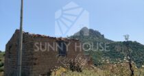 Land with Ruins and Olive Grove – Ideal for Agritourism Land with Ruins and Olive Grove – Ideal for Agritourism