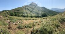 Land with Ruins and Olive Grove – Ideal for Agritourism Land with Ruins and Olive Grove – Ideal for Agritourism