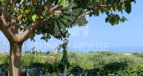 Villa with Sea View and Garden in Cefalù – Contrada San Nicola Villa with Sea View and Garden in Cefalù – Contrada San Nicola