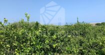 Villa with Sea View and Garden in Cefalù – Contrada San Nicola Villa with Sea View and Garden in Cefalù – Contrada San Nicola