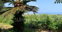 Villa with Sea View and Garden in Cefalù – Contrada San Nicola Villa with Sea View and Garden in Cefalù – Contrada San Nicola