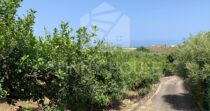 Villa with Sea View and Garden in Cefalù – Contrada San Nicola Villa with Sea View and Garden in Cefalù – Contrada San Nicola