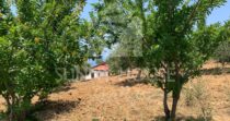 Sustainable Villa with Land and Olive Trees Just Steps from Cefalù Sustainable Villa with Land and Olive Trees Just Steps from Cefalù