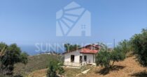 Sustainable Villa with Land and Olive Trees Just Steps from Cefalù Sustainable Villa with Land and Olive Trees Just Steps from Cefalù