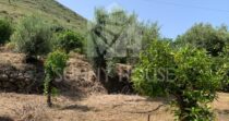 Villa with Sea View and Garden in Cefalù – Contrada San Nicola Villa with Sea View and Garden in Cefalù – Contrada San Nicola
