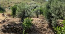 Villa with Sea View and Garden in Cefalù – Contrada San Nicola Villa with Sea View and Garden in Cefalù – Contrada San Nicola
