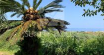 Villa with Sea View and Garden in Cefalù – Contrada San Nicola Villa with Sea View and Garden in Cefalù – Contrada San Nicola