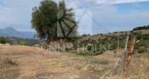 Agricultural Land with Storage Building for Sale, 7 km from Lascari