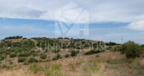 Agricultural Land with Storage Building for Sale, 7 km from Lascari