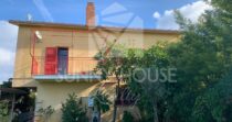 Large Semi-Detached Villa with Garden and Orange Trees in Lascari