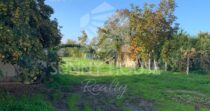 Large Semi-Detached Villa with Garden and Orange Trees in Lascari
