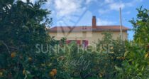 Large Semi-Detached Villa with Garden and Orange Trees in Lascari