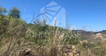 Land Surrounded by Nature with Building Potential Near Cefalù