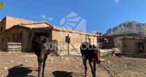 For Sale – Rural Property of Approximately 900 m² with 22 Hectares of Land