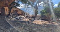 For Sale – Rural Property of Approximately 900 m² with 22 Hectares of Land
