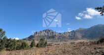 For Sale – Rural Property of Approximately 900 m² with 22 Hectares of Land